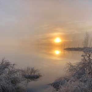 Meet your Posher, Derrick